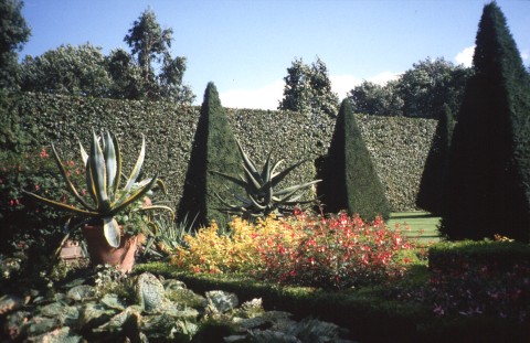 The Dutch Garden—one of many diffeent ever-changing gardens.